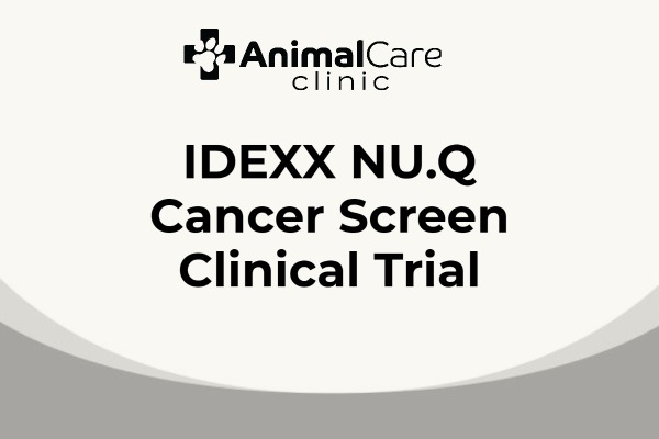 Animal Care Clinic | Veterinarian in Jackson - North Canton, OH